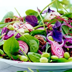 En färgglad sallad med spenat, rödlök, edamamebönor och valnötter. Perfekt som en lätt lunch, och ja, man kan värma spenat till den!