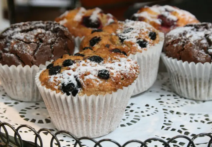 Fluffiga muffins med blåbär och choklad, pudrade med florsocker. Perfekta att frysa in för senare njutning.
