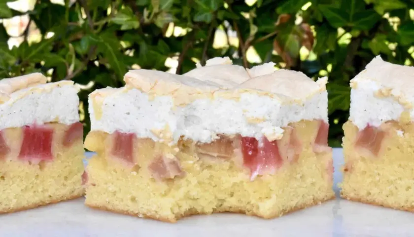 Rhubarb cake with meringue topping, showing layers of cake, rhubarb, and meringue.