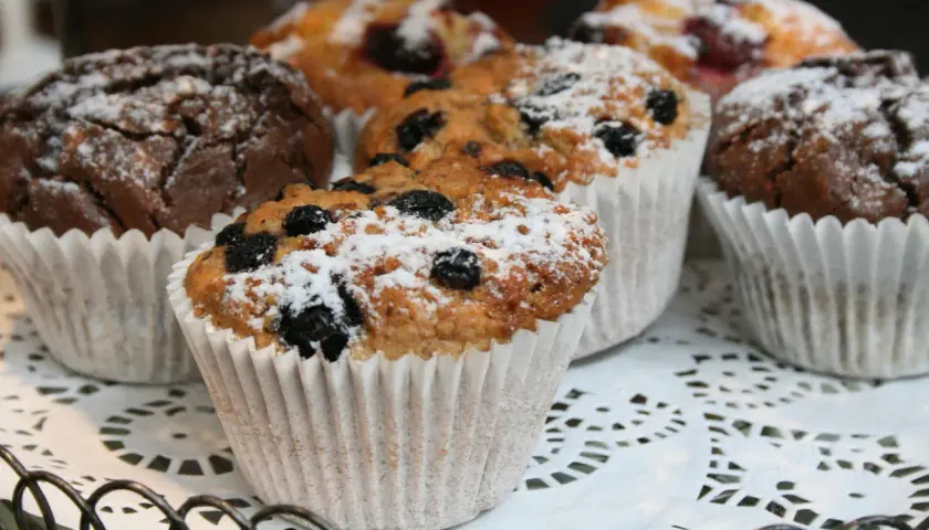 Fluffiga muffins med blåbär och choklad, pudrade med florsocker. Perfekta att frysa in för senare njutning.