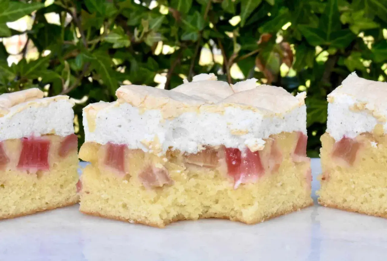 Rhubarb cake with meringue topping, showing layers of cake, rhubarb, and meringue.