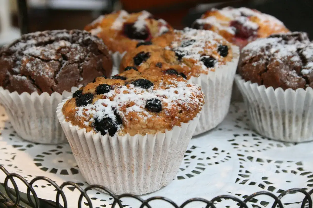 Fluffiga muffins med blåbär och choklad, pudrade med florsocker. Perfekta att frysa in för senare njutning.
